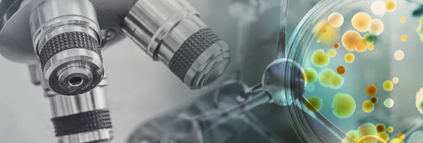 About Menarini banner image